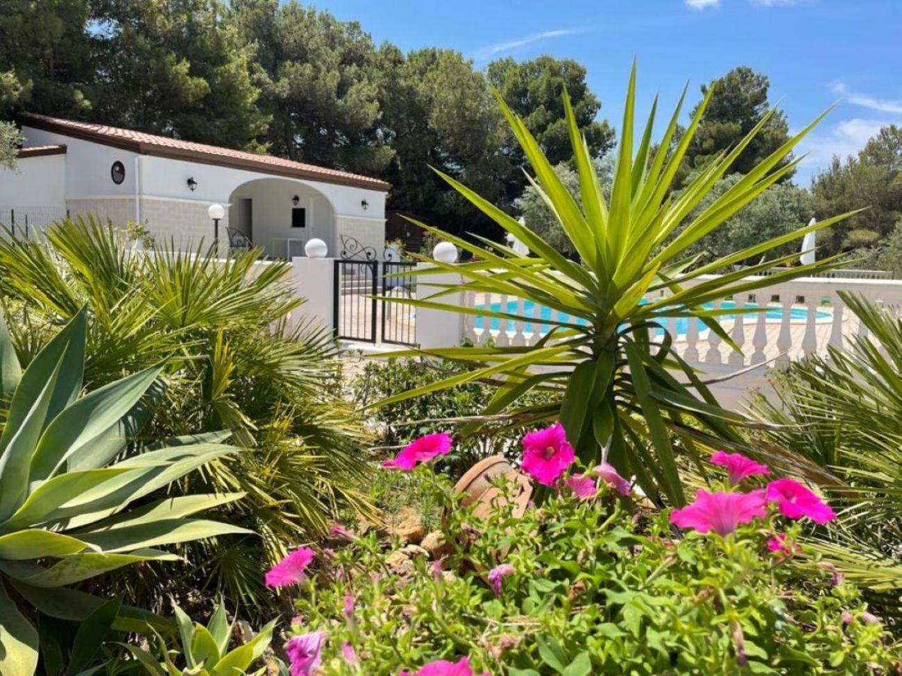 Villa Nunziatella Badia 特拉佩托 外观 照片