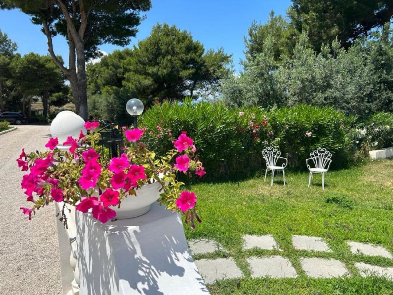 Villa Nunziatella Badia 特拉佩托 外观 照片